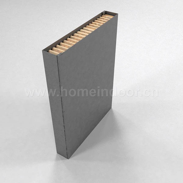 door with Hollow core steel door