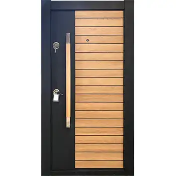 Modern house exterior steel core wood security door