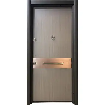Modern flush steel and wood security door with stretch plate