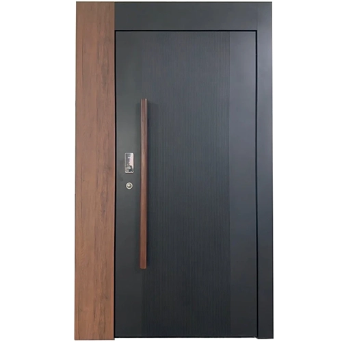 modern house exterior metal pivot front door