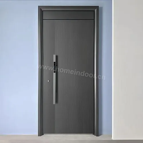 Modern minimalist steel security door for apartment