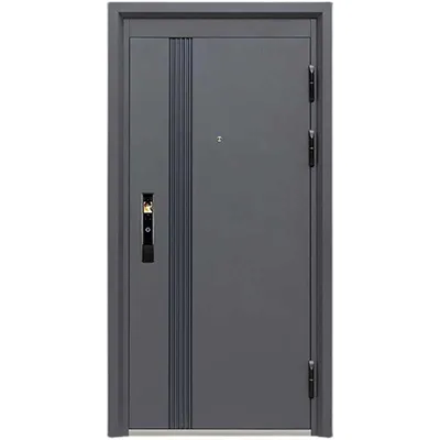 Grey house exterior flush modern steel security doors